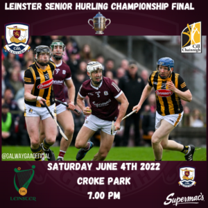 Leinster Senior Hurling Final: Galway v Kilkenny