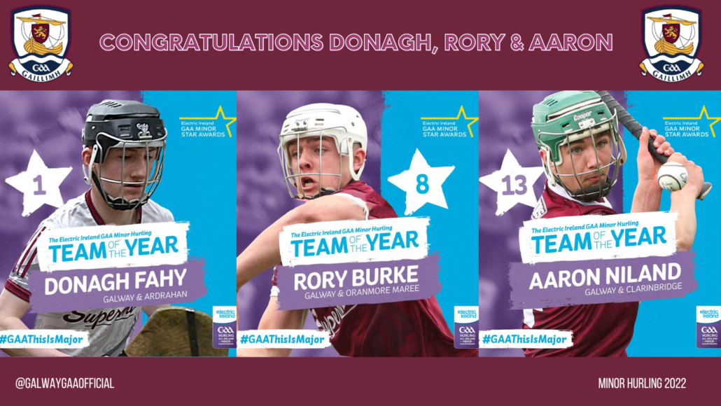 2022 Electric Ireland GAA Minor Star Hurling Team Of The Year Galway GAA 2022-electric-ireland-gaa-minor-star-hurling-team-of-the-year-galway-gaa