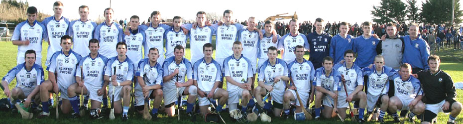 Micheal Breathnachs Junior B Winners